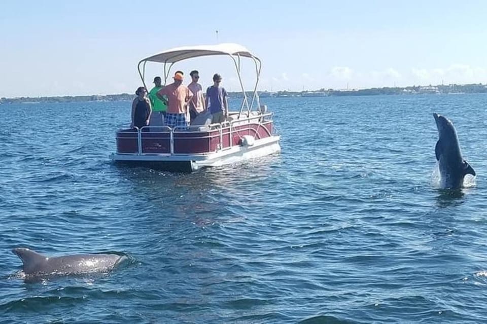 Key Largo: Boat Eco Tour – Key Largo, Florida