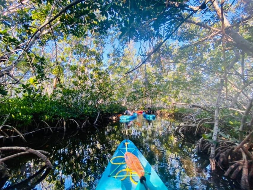 Key West: 2-hour Mangrove Kayak Tour – Key West, Florida