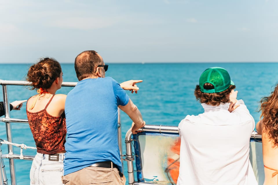 Key West: Dolphin Watching and Snorkeling Eco Cruise Tour – Key West, Florida