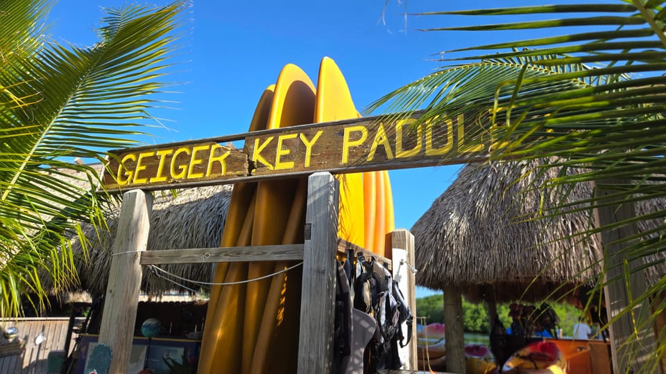 Key West: Mangrove Kayak or SUP Eco Tour – Key West, Florida