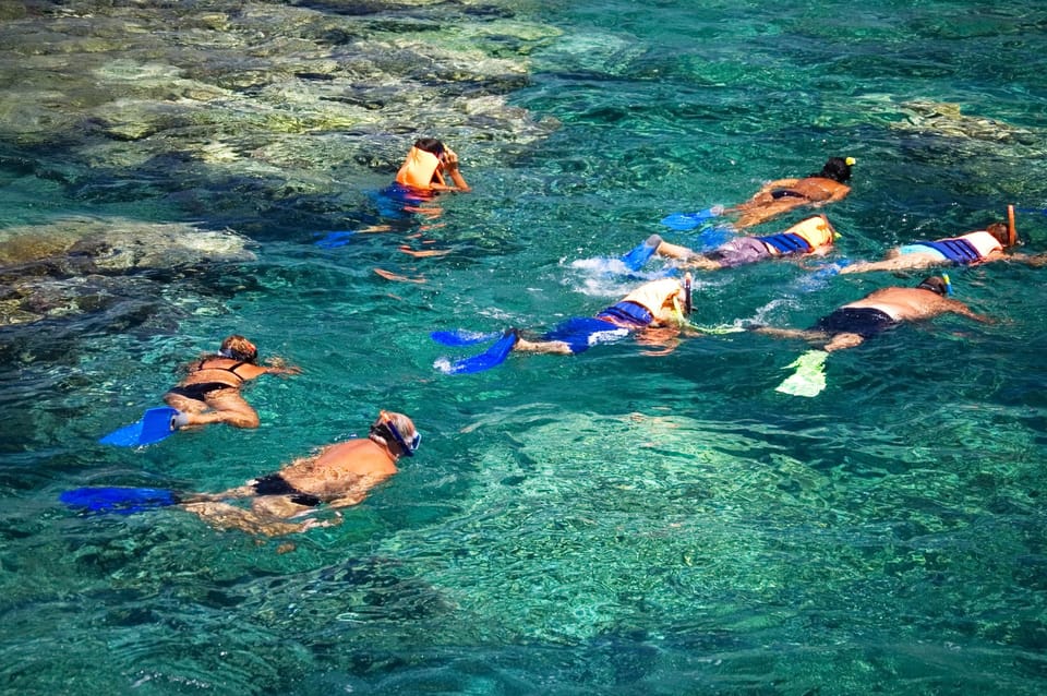 La Paz: Coral Farm Snorkel Tour – La Paz, Mexico, Mexico