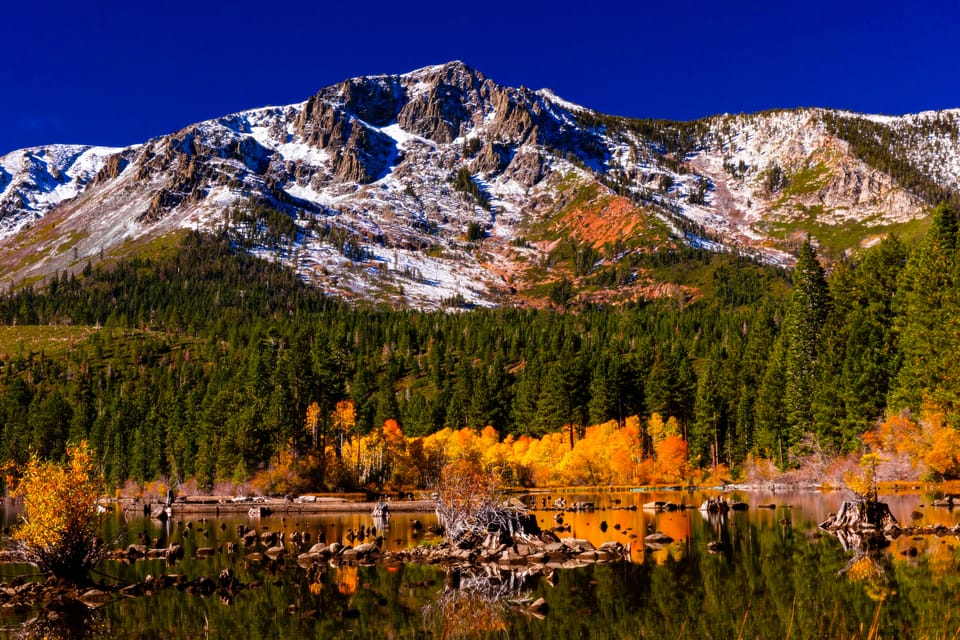 Lake Tahoe: Half-Day Photographic Scenic Tour – California, California