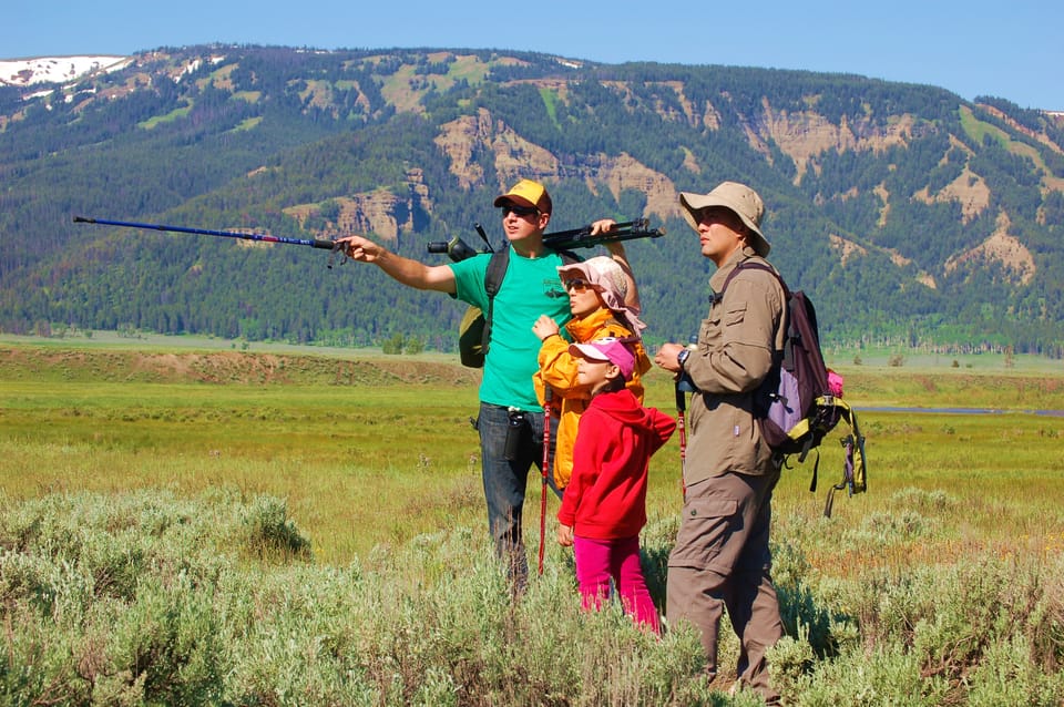 Lamar Valley: Safari Hiking Tour with Lunch – Lamar Valley, Wyoming