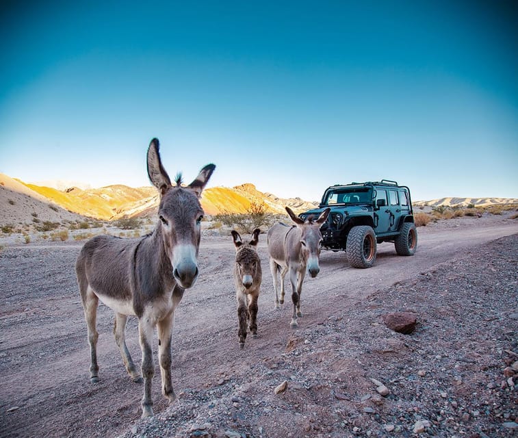 Las Vegas- Offroad Experience Wildlife, Ghost Towns and more – Goodsprings, Nevada