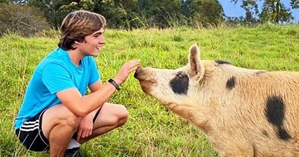 Laupahoehoe: Farm Animal Sanctuary Private Tour – Hilo, Hawaii