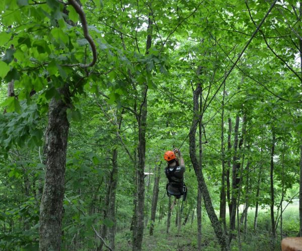 Lexington: Fully Guided Zipline Canopy Tour – Lexington, Kentucky