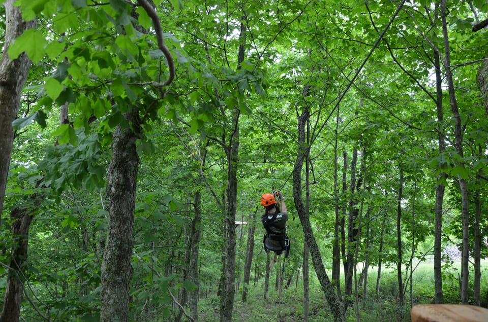 Lexington: Fully Guided Zipline Canopy Tour – Lexington, Kentucky