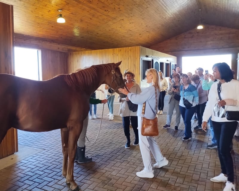 Lexington: Thoroughbred Horse Farm Tour and Scenic Bluegrass – Lexington, Kentucky