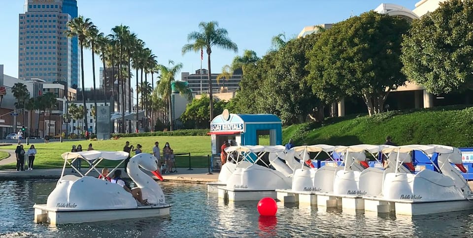 Long Beach: Swan Boat Rental at Rainbow Lagoon – Los Angeles, California