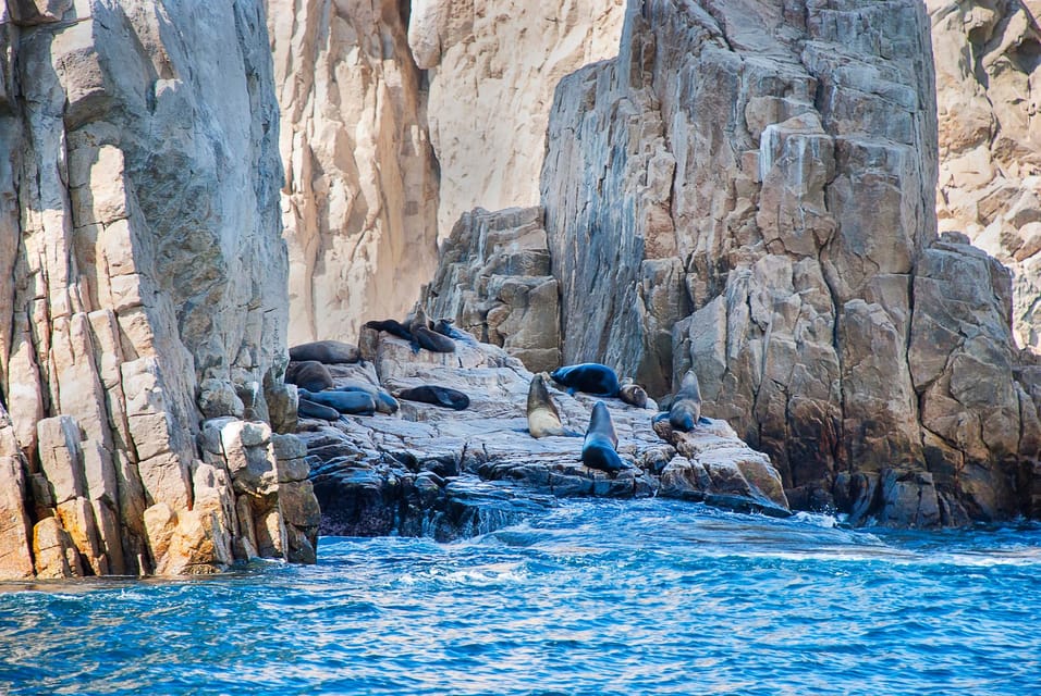 Los Cabos: Tour of rock formations and snorkeling – Cabo San Lucas, Mexico