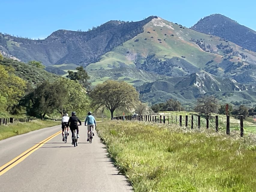 Los Olivos: E-Bike Tour + Vineyard Lunch w/Wine Tasting – Solvang, California