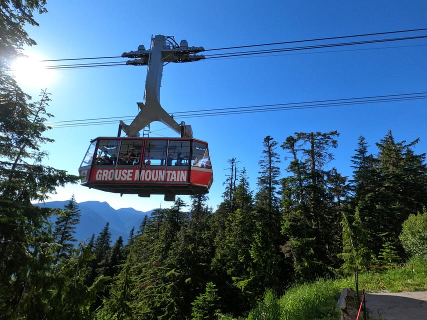 Lynn Canyon, Suspension Bridge & Grouse Mount Private Tour – Vancouver, Canada