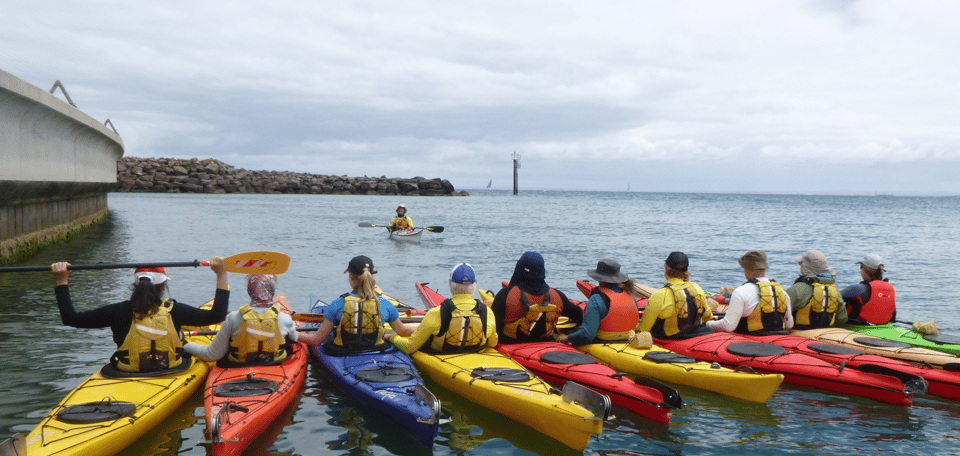 Maine: Penobscot River Guided Kayaking Tour – Penobscot River, Maine