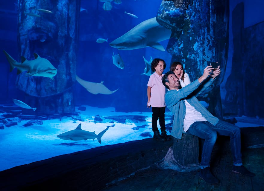 Mall of America: Sea Life Minnesota Aquarium Entry Ticket – Bloomington, Minnesota