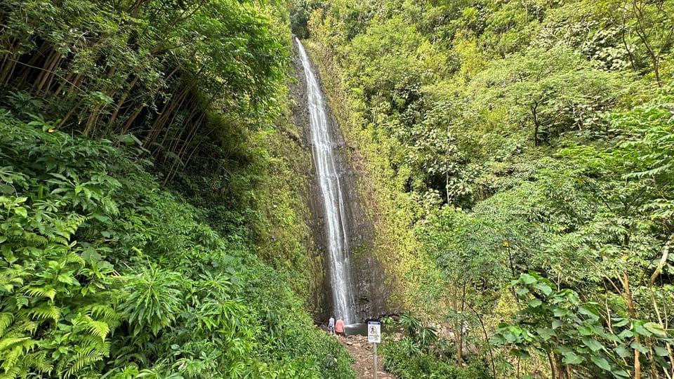 Manoa Falls eBike to Hike – Honolulu, Hawaii