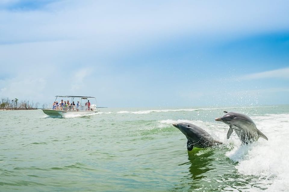 Marco Island: Dolphin-Watching Boat Tour – Goodland, Florida