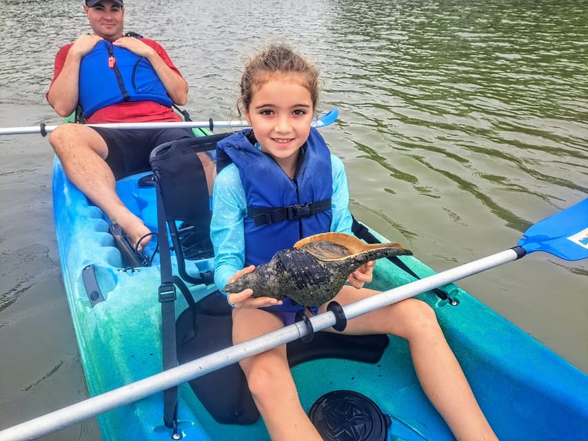 Marco Island: Kayak Mangrove Ecotour in Rookery Bay Reserve – Naples, Florida