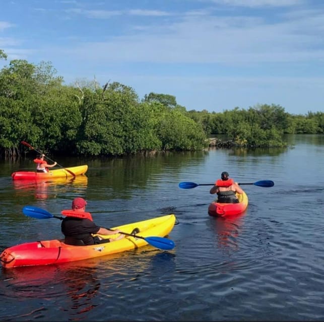 Matlacha: Dolphin and Mangrove Kayak Tour – Matlacha Pass Aquatic Preserve, Florida