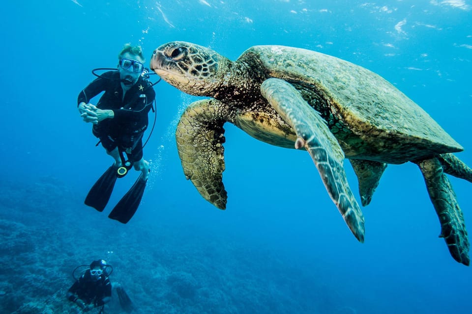 Maui: Beginner Discovery Scuba Dive Excursion from Lahaina – Lahaina, Hawaii