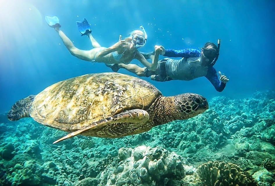 Maui: Mother Reef Snorkeling Tour with a Marine Biologist – Hawaii, Hawaii