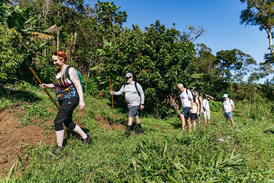 Maui: Rainforest Waterfalls Guided Hike with Picnic Lunch – Haiku, Hawaii