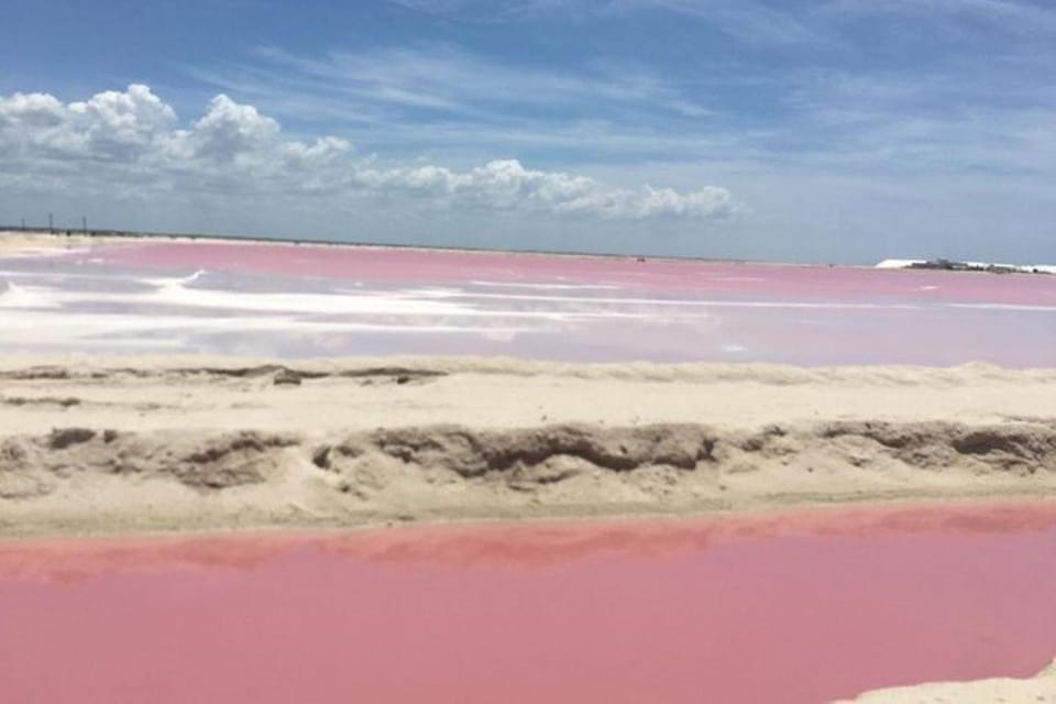 Merida: Tour Las Coloradas and Rio Lagartos – Mérida, Mexico