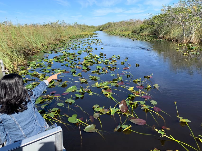 Miami: Everglades Airboat, Photo & Gator Experience – Everglades Alligator Farm, Florida