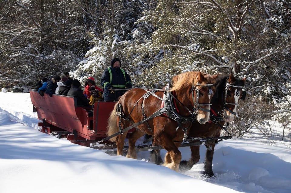 Mont-Tremblant: Sleigh Ride w/ Storytelling & Hot Chocolate – Mont-Tremblant, Quebec, Canada