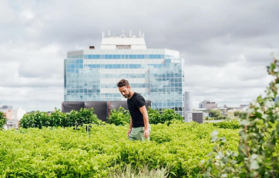 Montreal: the capital of urban agriculture – Montreal, Canada