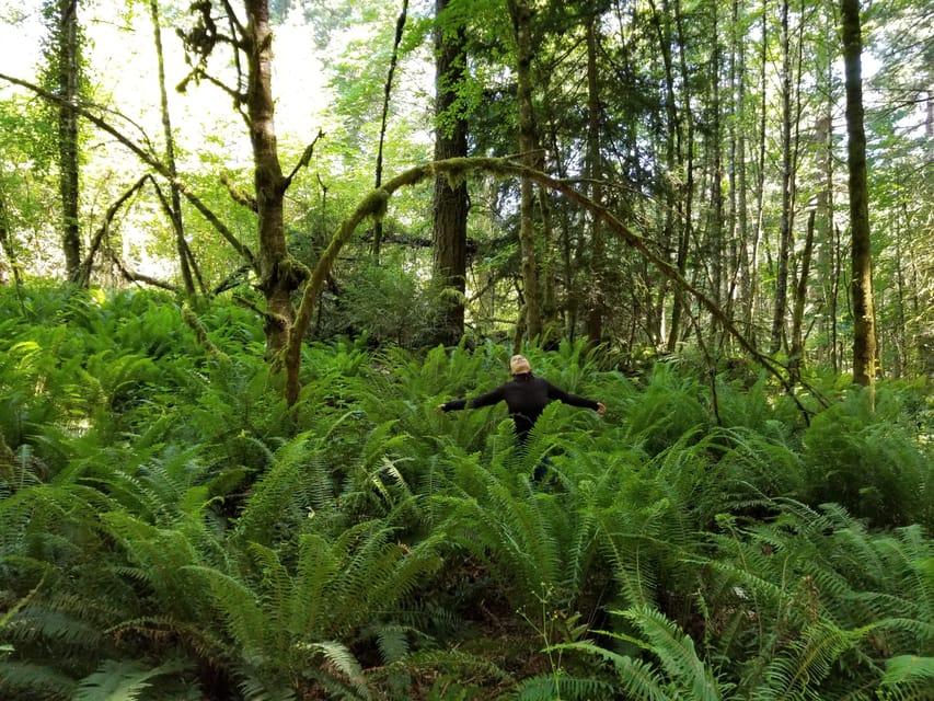 Mystical Rainforest Tour – Forest Magick – Victoria, British Columbia, Canada