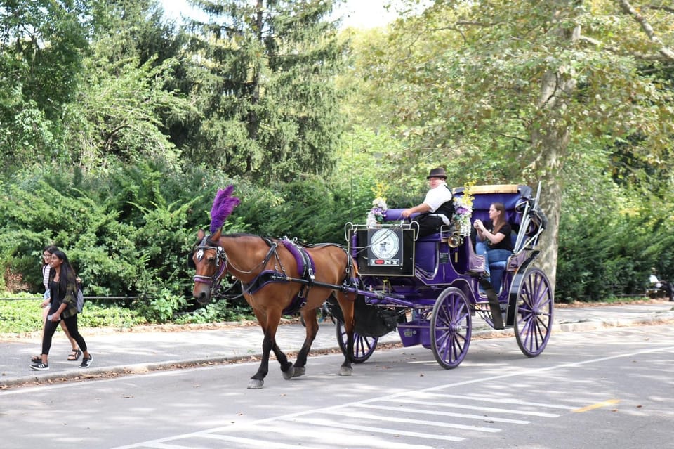 NYC Horse Carriage Ride in Central Park (65 min) – New York City, New York