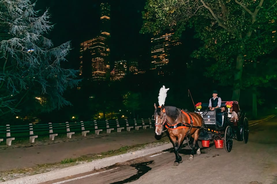 NYC MOONLIGHT HORSE CARRIAGE RIDE through Central Park – New York City, New York