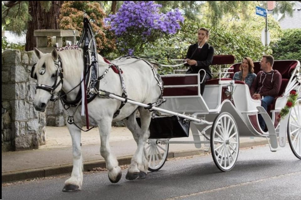 NYC: Private Central Park Horse Carriage Ride with Guide – New York City, New York