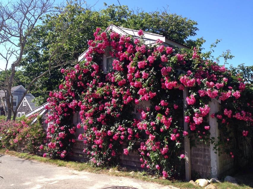 Nantucket: Historical Landmarks Sightseeing Bus Tour – Siasconset, Massachusetts