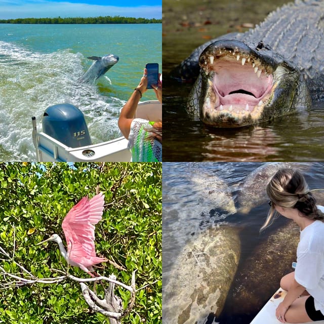 Naples, FL: Manatee, Dolphin, 10,000 Islands Beach Eco Tour – Naples, Florida