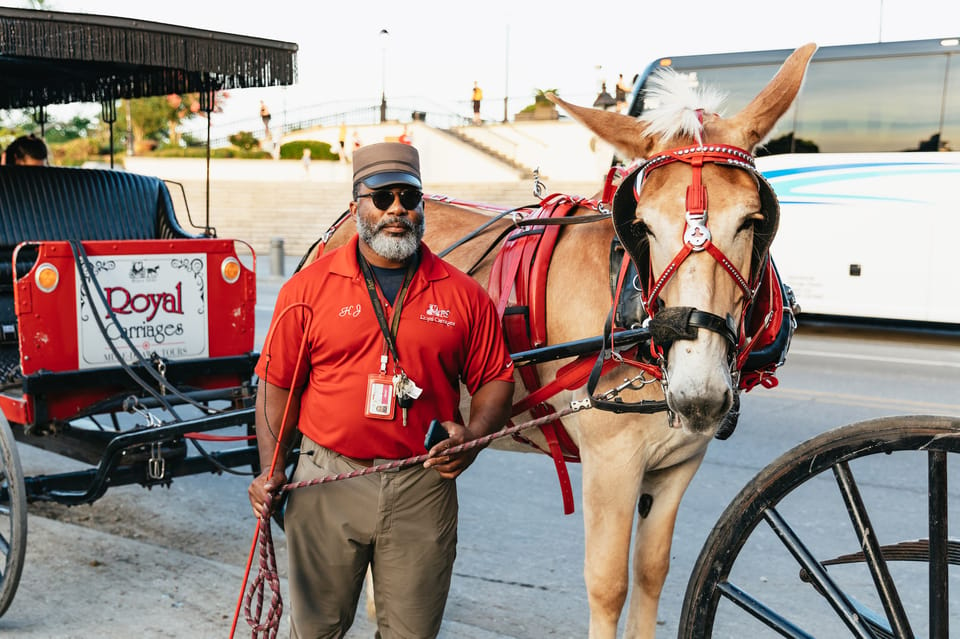 New Orleans: French Quarter Sightseeing Carriage Ride – New Orleans, Louisiana