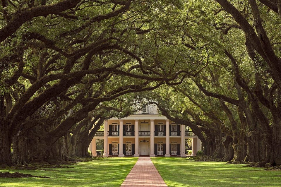 New Orleans: Oak Alley Plantation Half Day Tour – Vacherie, Louisiana