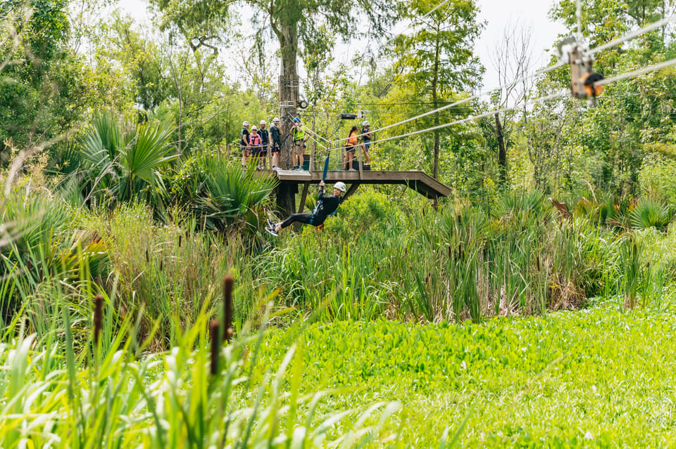 New Orleans: Swamp Zipline Tour – Maurepas Swamp Wildlife Management Area, Louisiana