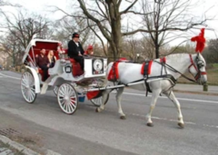 New York City: Central Park Horse Carriage 45-min Ride – New York City, New York