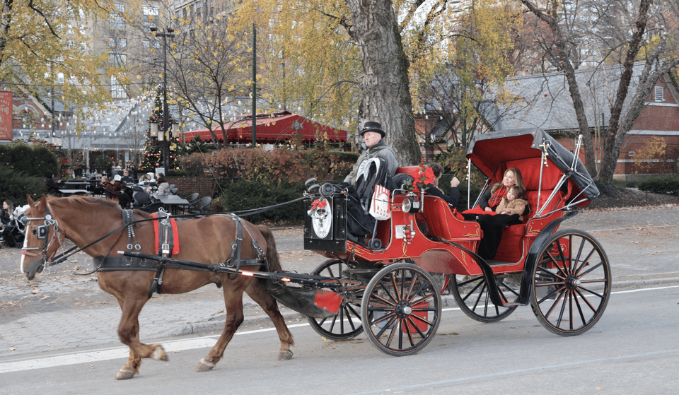 New York City: Central Park Horse Carriage 55-min Ride – New York City, New York