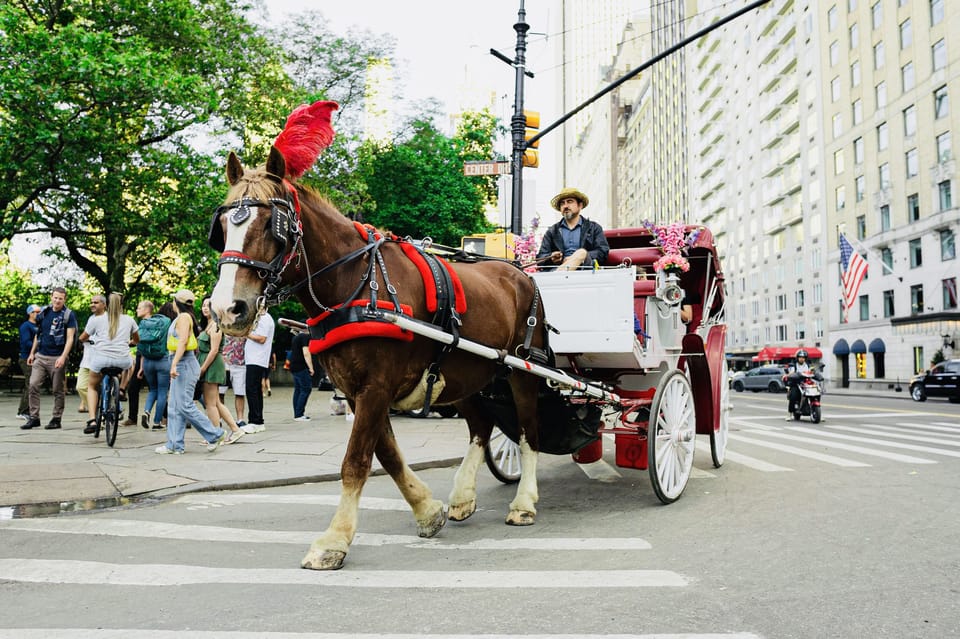 New York City: Central Park Private Horse and Carriage Tour – New York City, New York