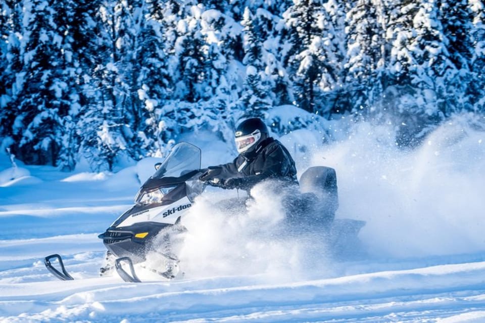 North Pole Alaska: Guided Fairbanks Snowmobile Tour – Fairbanks, Alaska