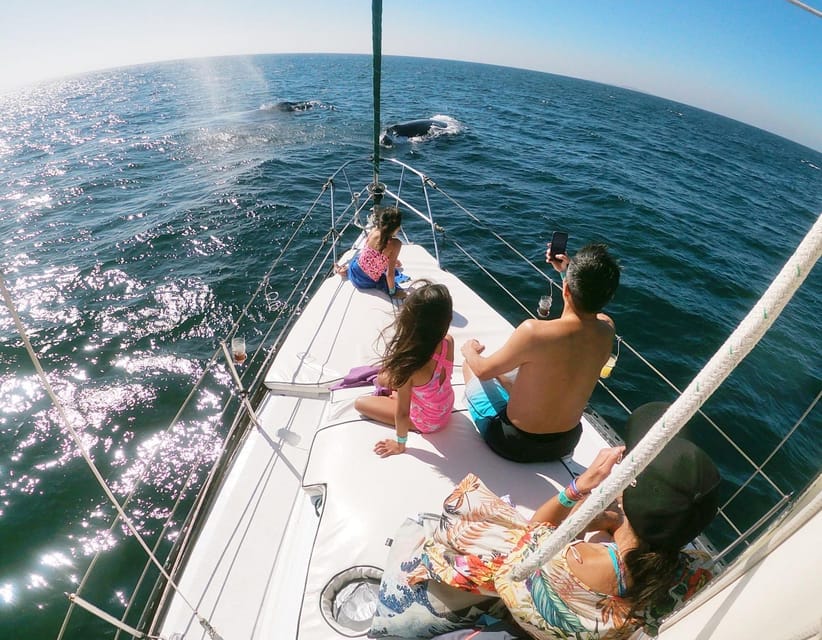 Nuevo Vallarta: Whale Watching by Sailboat Tour – Nuevo Vallarta, Mexico