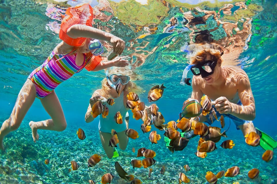 Oahu: 16-Point Guided Circle Tour with Snorkeling and Dole – Haleiwa, Hawaii