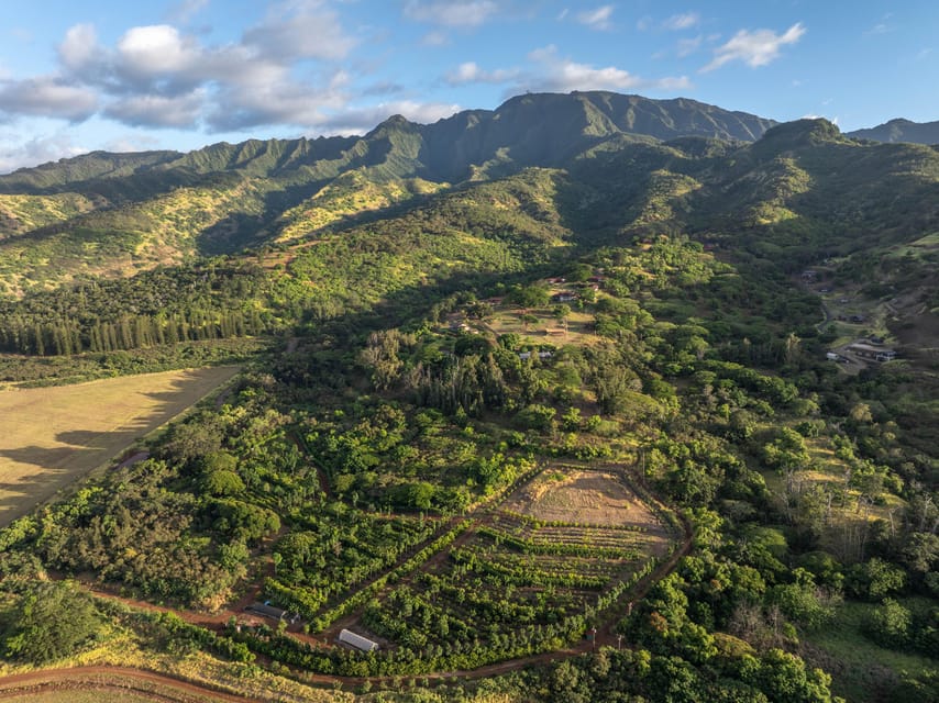 Oahu: Chocolate Farm Tour with Tasting – Kamananui Cacao – Honolulu, Hawaii