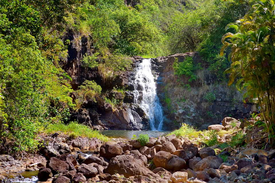 Oahu: Complete Island Tour with Tropical Waterfall Swimming – Kaneohe, Hawaii