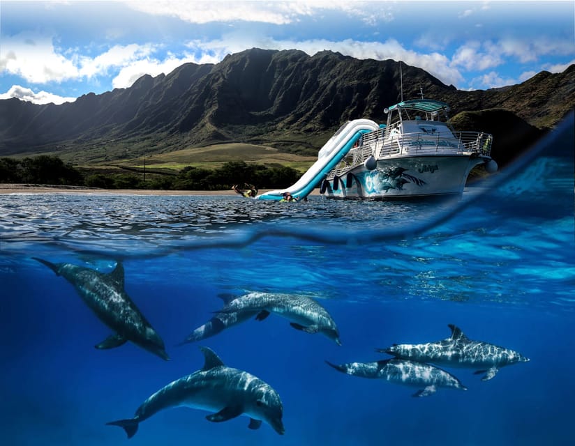 Oahu: Dolphin Watching & Turtle Snorkeling with Waterslide – Honolulu, Hawaii