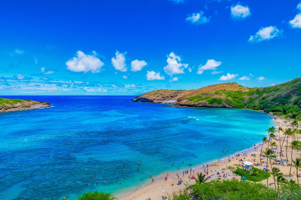 Oahu: Full-Day Circle Island Tour – Top Sights & Local Guide – Wahiawa, Hawaii