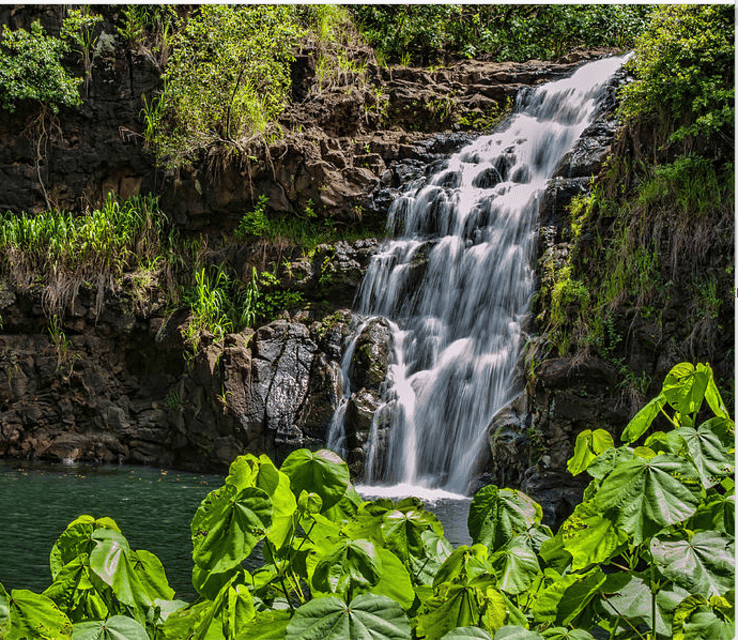 Oahu Hidden Gems & Waimea Botanical Garden/Waterfall tour – Pupukea, Hawaii