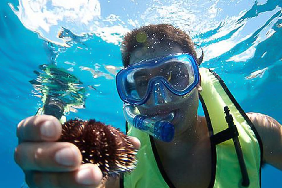 Oahu: Hilton Hawaiian Village Snorkel Tour – Honolulu, Hawaii